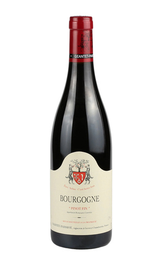 Домен Жанте-Пансьо Бургонь Пино Фин 2019 0.75 л фото вино Domaine Geantet-Pansiot Bourgogne Pinot Fin 2019 0,75 л