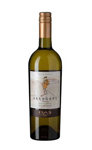 Вино Arrogant Frog Pinot Grigio Pays d'Oc 2020 0,75 л