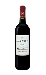 Вино Mas Andes Cabernet Sauvignon 2020 0,75 л
