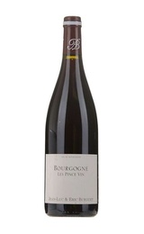 Вино Alain Burguet Bourgogne Rouge les Pince Vin 2019 0,75 л