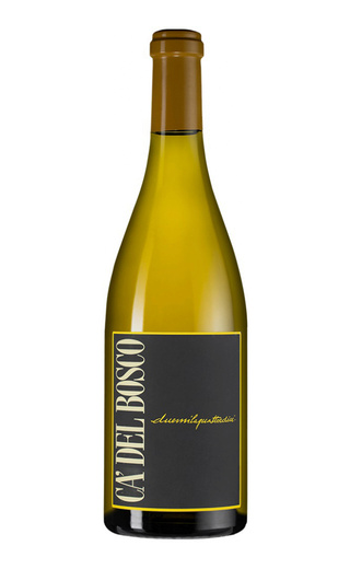 Ка'дель Боско Шардоне Боско Куртефранка 2016 0.75 л фото вино Ca'Del Bosco Chardonnay Bosco Curtefranca 2016 0,75 л