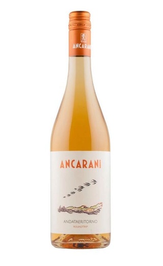 Анкарани Андатаэриторно 2020 0.75 л фото вино Ancarani Andataeritorno 2020 0,75 л