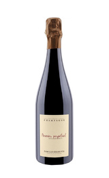 Шампанское Famille Delouvin Meunier Perpetuel Extra Brut 2017&nbsp;0,75&nbsp;л
