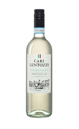 Вино Villa degli Olmi Cari Lentozzi Sauvignon Blanc Trevenezie 2021 0,75 л