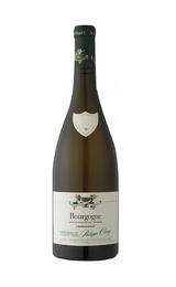 Вино Domaine Philippe Chavy Bourgogne Chardonnay 2019 0,75 л