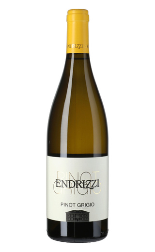 фото вино Endrizzi Pinot Grigio 2020 0,75 л