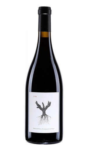 Бодегас и Виньедос Альнардо Пси Рибера дель Дуеро 2019 0.75 л фото вино Bodegas y Vinedos Alnardo Psi Ribera del Duero 2019 0,75 л