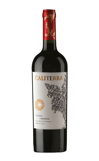 Винья Калитерра Такун Мерло Ресерва 2020 0.75 л фото вино Vina Caliterra Takun Merlot Reserva 2020 0,75 л