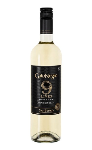 Сан Педро Гато Негро 9 Жизней Совиньон Блан Резерв 2021 0.75 л фото вино San Pedro Gato Negro 9 Lives Sauvignon Blanc Reserve 2021 0,75 л