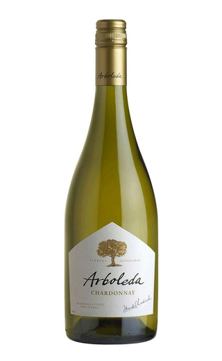 Винья Арболеда Шардоне 2020 0.75 л фото вино Vina Arboleda Chardonnay 2020 0,75 л