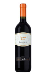 Вино Cielo e Terra Gruppo Sante Rive Bardolino 2021 0,75 л