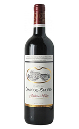 Вино Chateau Chasse Spleen Moulis Grand Cru Classe 2016 0,75 л
