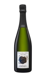 Шампанское Marie Copinet Nos pas dans La terre Complantee&nbsp;0,75&nbsp;л