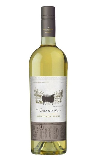 Ле Гран Нуар Вайнмэйкерс Селекшн Совиньон Блан 2021 0.75 л фото вино Le Grand Noir Winemaker's Selection Sauvignon Blanc 2021 0,75 л