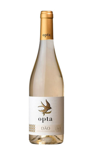 Вино Boas Quintas Opta Branco 0,75 л