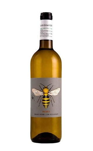 фото вино Bodegaverde Macabeo 2021 0,75 л