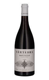 Вино Terroir al Limit Les Vertebra De La Figuera 2021 0,75 л