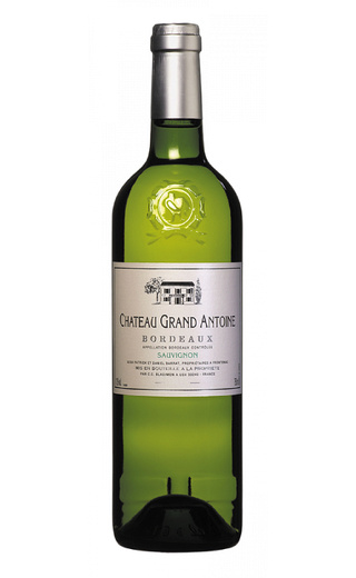 фото вино Chateau Grand Antoine Sauvignon 2019 0,75 л