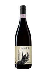 Вино Cantina Tollo Colle Cavalieri Montepulciano d’Abruzzo 2021 0,75 л
