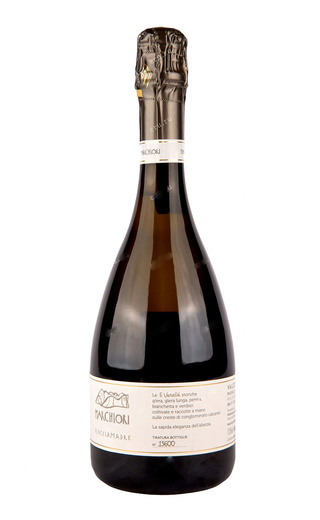 Маркьори Рочиамадре Вальдобьядене Просекко Супериоре 2020 0.75 л фото просекко Marchiori Rocciamadre Valdobbiadene Prosecco Superiore 2020 0,75 л