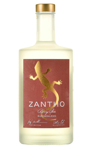 Цанто Берри 0.5 л фото джин Zantho Berry 0,5 л