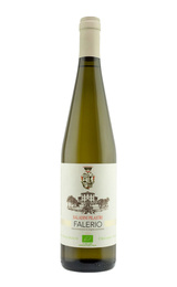 Вино Saladini Pilastri Falerio 2019 0,75 л