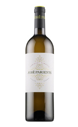 Вино Jose Pariente Varietal Verdejo 2022 0,75 л