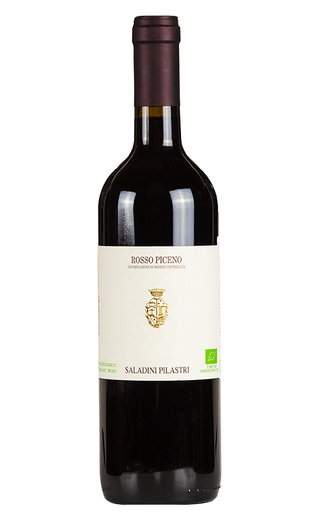 Саладини Пиластри Россо Пичено 2019 0.75 л фото вино Saladini Pilastri Rosso Piceno 2019 0,75 л