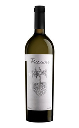 Вино Гунько Вайнери Рислинг 2022