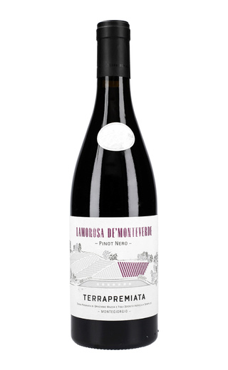 фото вино Lamorosa de'Monteverde Pinot Nero 2019 0,75 л