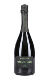 Игристое вино Terrapremiata Uve Colle Monteverde Brut 0,75 л