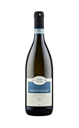 Вино Casere Terra Vizina Pinot Grigio delle Venezie 2022 0,75 л