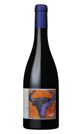 Вино Domaine d'Andezon Signargues Cotes du Rhone Villages 2019 0,75 л