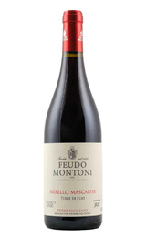 Вино Feudo Montoni Nerello Mascalese Terre di Elio 2021 0,75 л