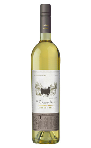 фото вино Le Grand Noir Winemaker's Selection Sauvignon Blanc 2022 0,75 л