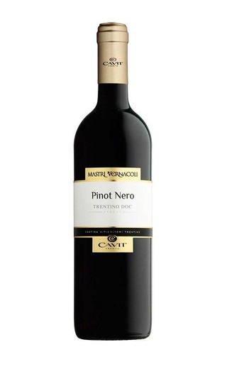 фото вино Cavit Mastri Vernacoli Pinot Nero 2021 0,75 л