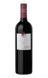 Вино San Pedro De Yacochuya 2005 0,75 л