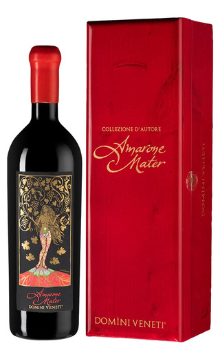 Домини Венети Амароне делла Вальполичелла Классико Матер Ризерва 2017 0.75 л фото вино Domini Veneti Amarone della Valpolicella Classico Riserva Mater 2017 0,75 л