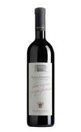 Вино Cevico Gruppo Villa Pampini Valpolicella 2021 0,75 л