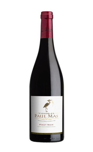 фото вино Paul Mas Pinot Noir Pays d'Oc 2022 0,75 л