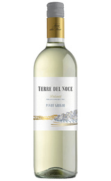 Вино Mezzacorona Terre del Noce Dolomiti Pinot Grigio 2022 1,5 л