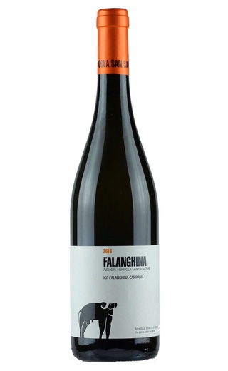 фото вино San Salvatore Falanghina Campania 2020 0,75 л