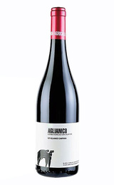 Вино San Salvatore Paestum Aglianico 2021 0,75 л