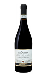 Вино Gerardo Cesari Salvalai Amarone della Valpolicella Classico 2018 0,75 л