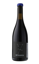 Вино Microbio Wines Sietejuntos Syrah 2019 0,75 л