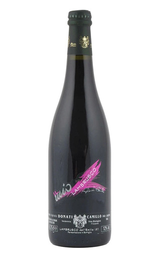 фото игристое вино Donati Camillo Il Mio Lambrusco dell'Emilia 2020 0,75 л