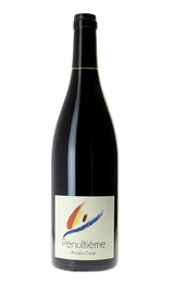 Вино Andrea Calek Penultieme 2021 0,75 л