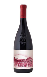 Вино I Vigneri di Salvo Foti Vinudilice 2021 0,75 л