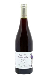 Вино Fanny Sabre Cuvee Anatole 2022 0,75 л