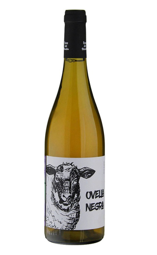 фото вино Mas Candi Ovella Negra 2022 0,75 л